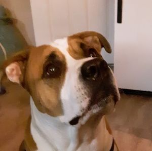 Meet your Posher, Jeremy